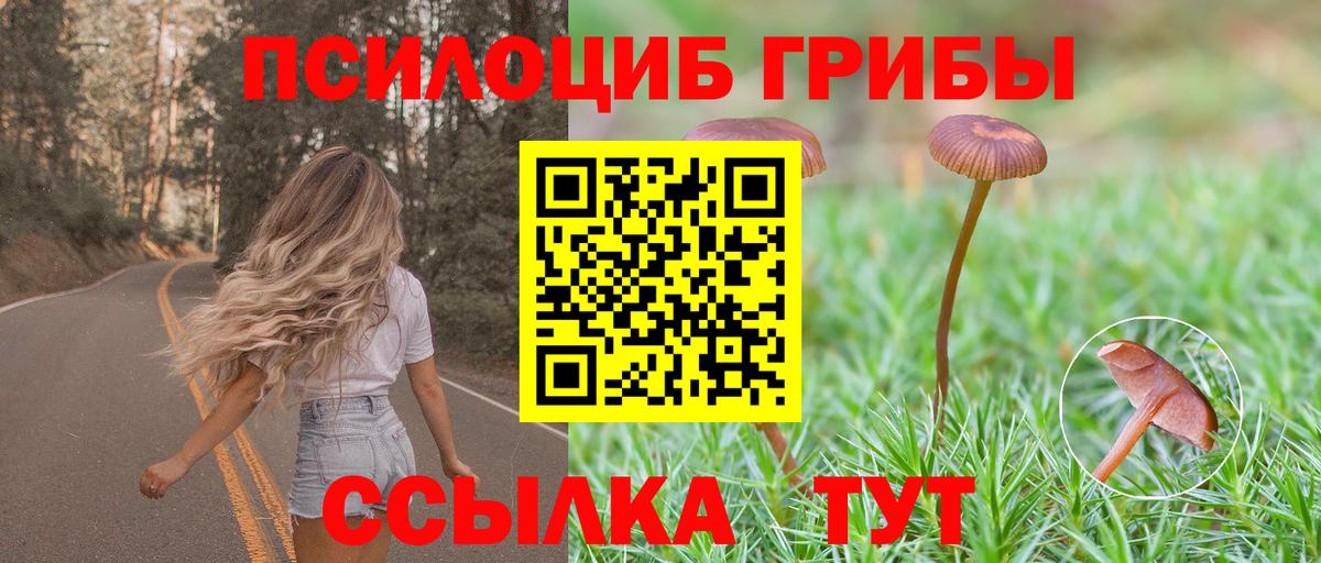 Псилоцибиновые грибы Magic Shrooms Крымск