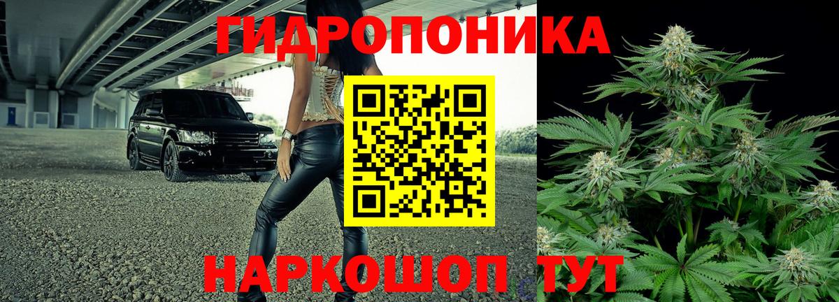 Канабис гибрид Крымск